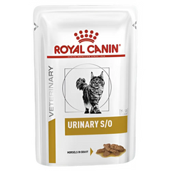 Collection image for: Cat Accessory