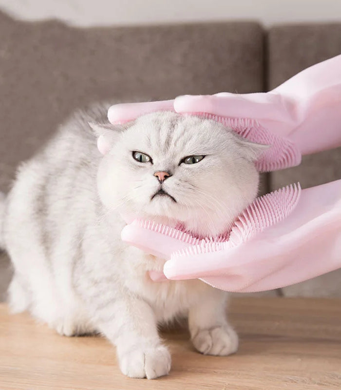 S719674f7774342149b7dbc15d88cb50aH