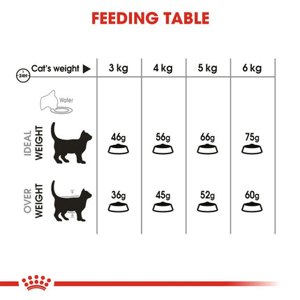 Royal Canin Adult Oral Care Dry Cat Food 3.5kg
