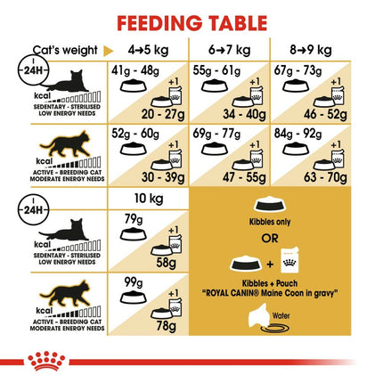 Royal Canin Adult Maine Coon Dry Cat Food 10kg